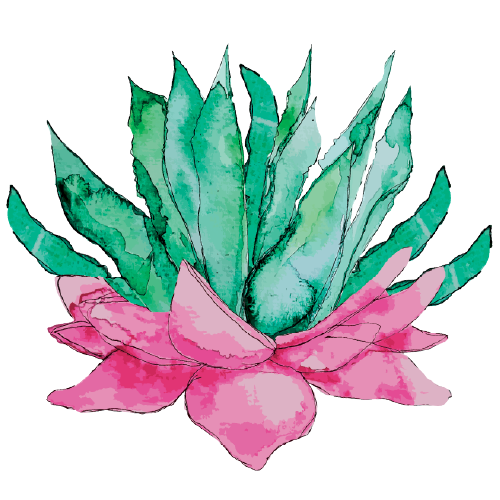 Agave.png