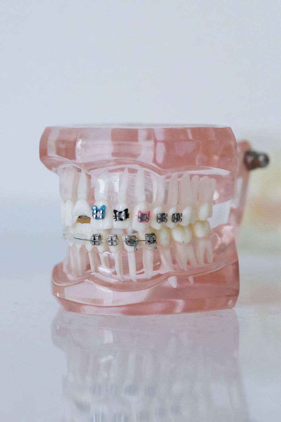 The Orthodontic Connection: Navigating Structural Change with Ease