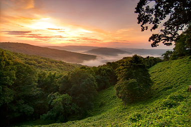 iStock-505535371.jpg