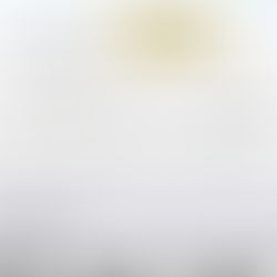 🌸「安心して任せられる不動産ははじめてでした。」春入居のお客様から届いた嬉しい言葉🥹~ゆうゆう不動産お客様の声~