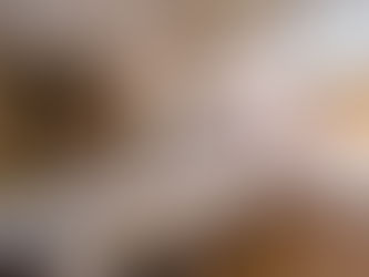 約18坪!駐車場1台無料!カフェの居抜き物件です☕~ゆうゆう不動産物件紹介~