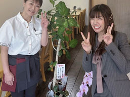 鰻の神楽 福岡古賀店のボリュームたっぷりのうな重|古賀市のリーズナブルな鰻専門店