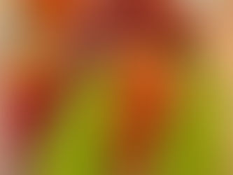 季節のタルトのお土産を頂きました🍇♬シャインマスカットのタルト・いちじくとベリーのタルトどれも美味しかったです✨☺