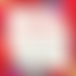 2025年✨今年も心からの感謝を込めて🌸出会ってくださったすべての皆さまへ|ゆうゆう不動産 年末のご挨拶🌸