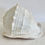 Thumbnail: Natural Round Conch Shell