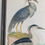 Thumbnail: Audubon 3 Bird Print Framed