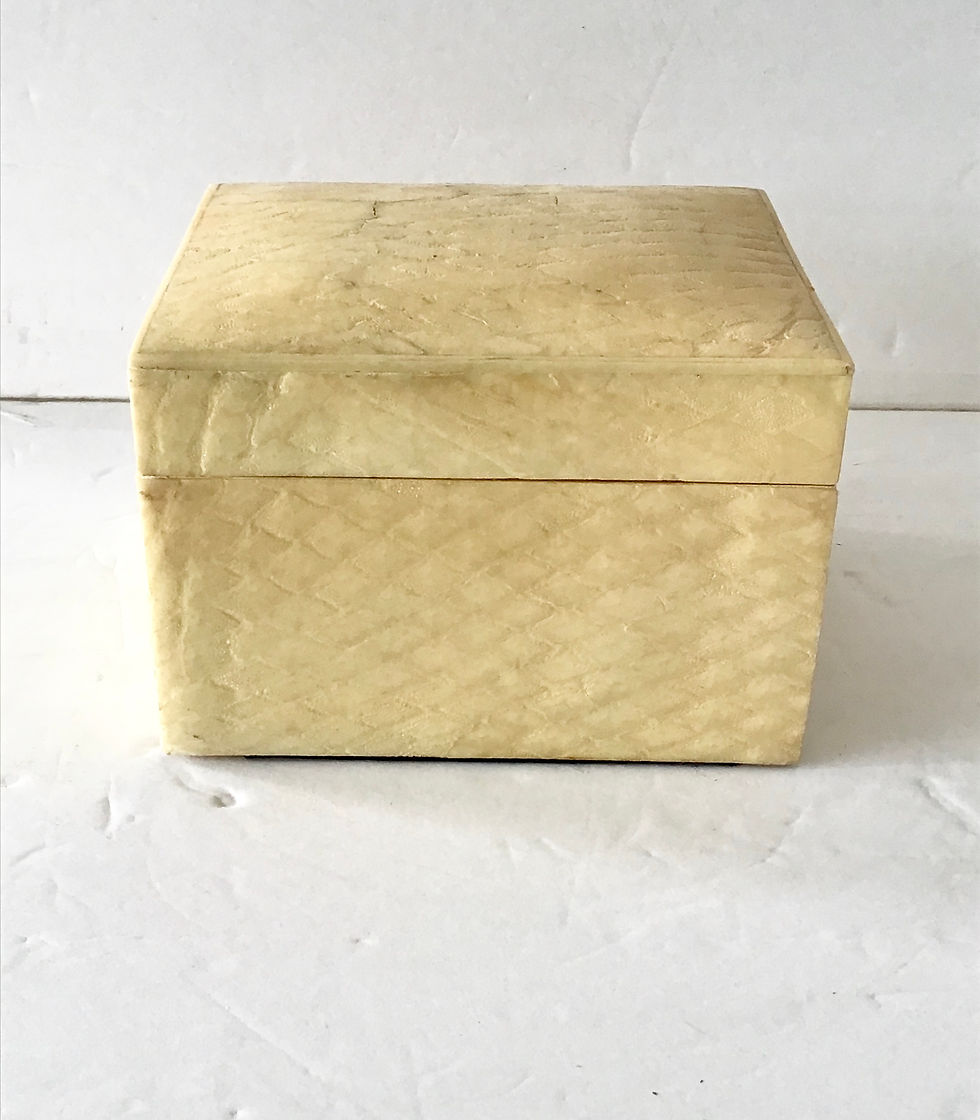 Thumbnail: 1960s Snake Skin Covered Box