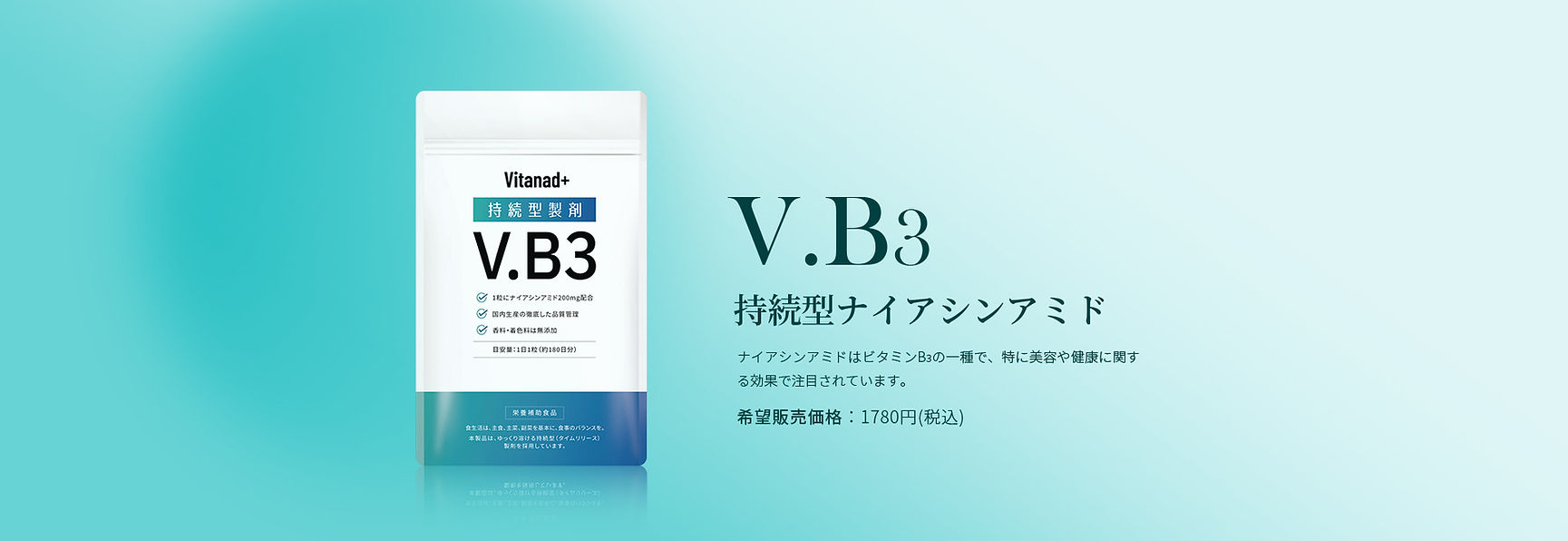 B3-banner.jpg