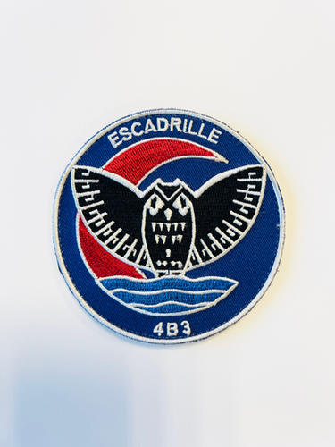 Écusson Mystique Pour Broderie, Hibou Grand Duc, Fer à