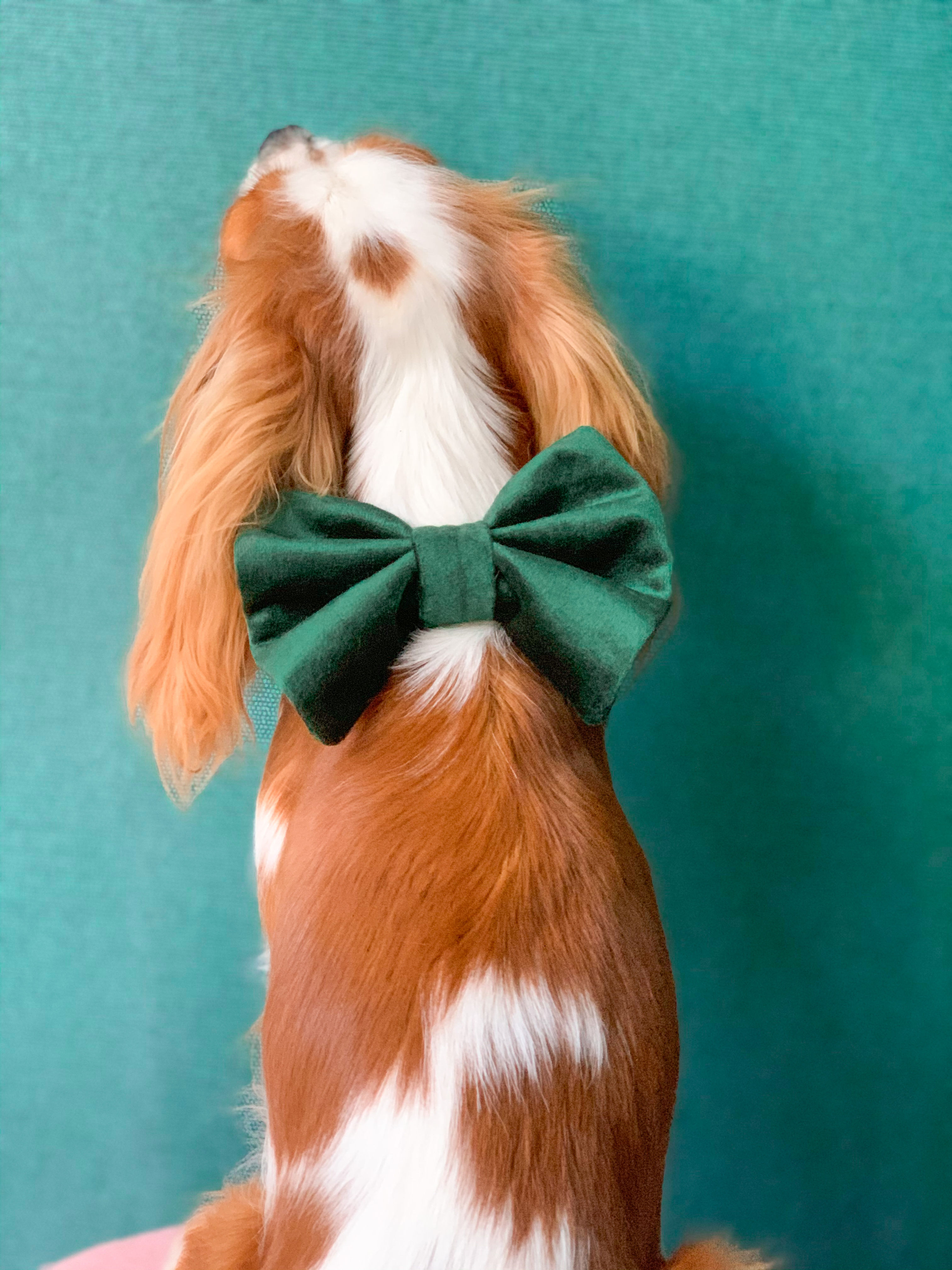 Forest Green Velvet Bow