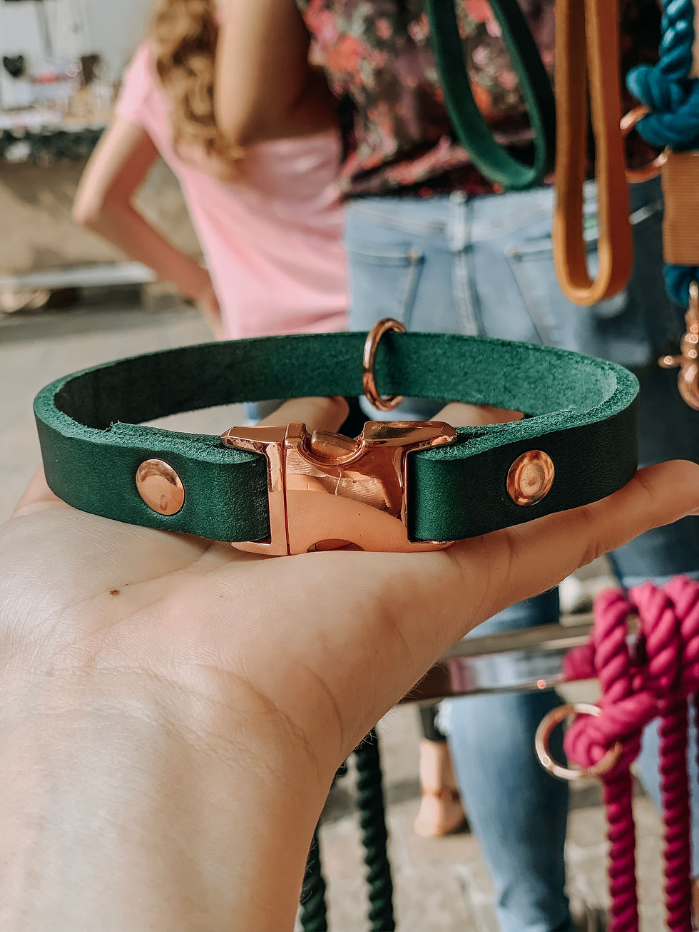 Thumbnail: Lumi Collar