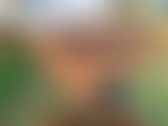 GTKa besucht die Imker im Volksgarten 