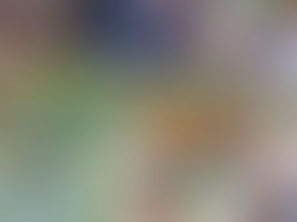 Erntefreude im Schulgarten