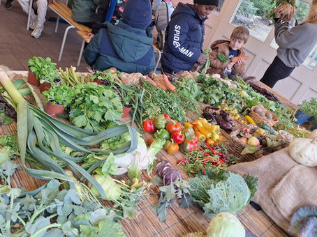Erntefreude im Schulgarten