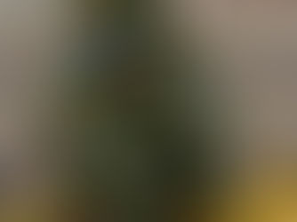 🎄Frohe Festtage und erholsame Ferien