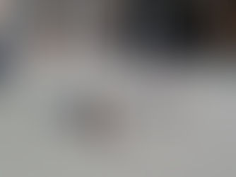 Rollerspaß auf dem Schulhof