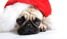 Dance Away the Holiday Blues