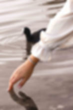 WISE black Preciosa crystal and grey Miyuki glass beaded word bracelet on wrist, hand in water next to moorhen