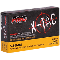 556 ammo_edited.png