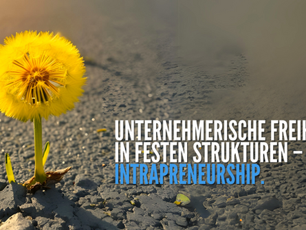 Intrapreneurship