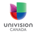 univision_edited.png