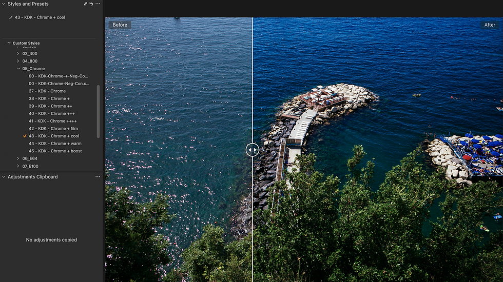 Miniatura: A51 Film Stock Styles for Capture One 23