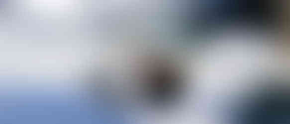 Image: G Tydeman Jewellers. Matching Wedding Bands