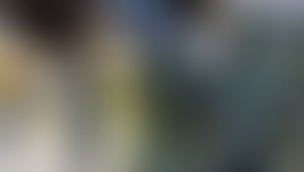 Working against fashion industry norms