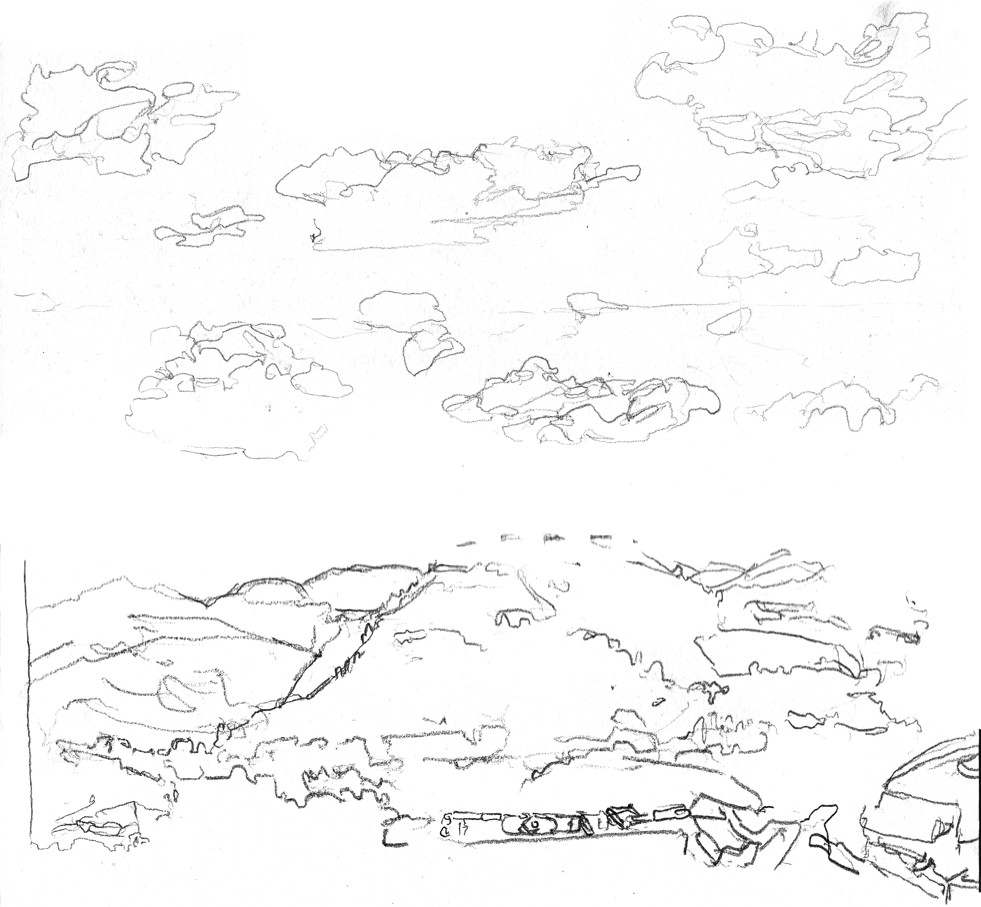 Landscape off the Porch