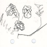 Jones Beach Structures.jpg