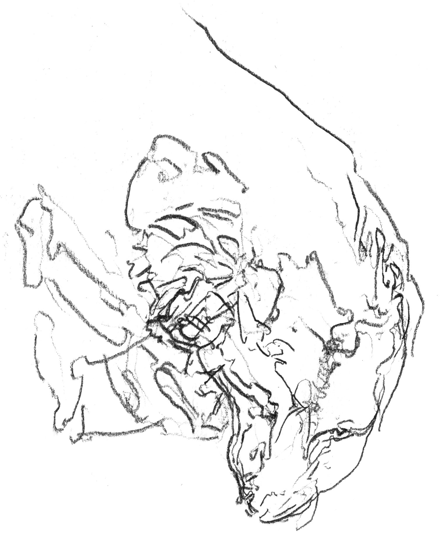 Head