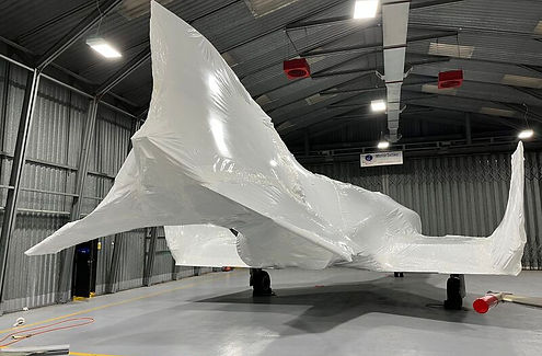 Construction shrink wrap on complex structure for public reveal.jpeg