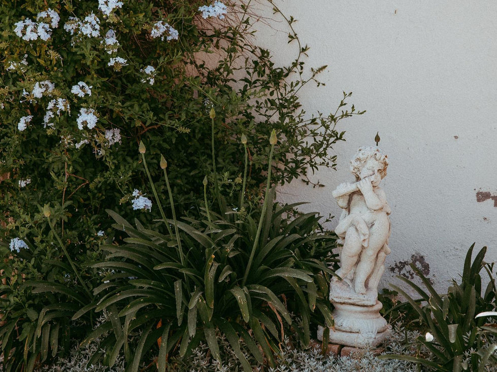 Fotografies per casa de turisme rural al Penedes-77