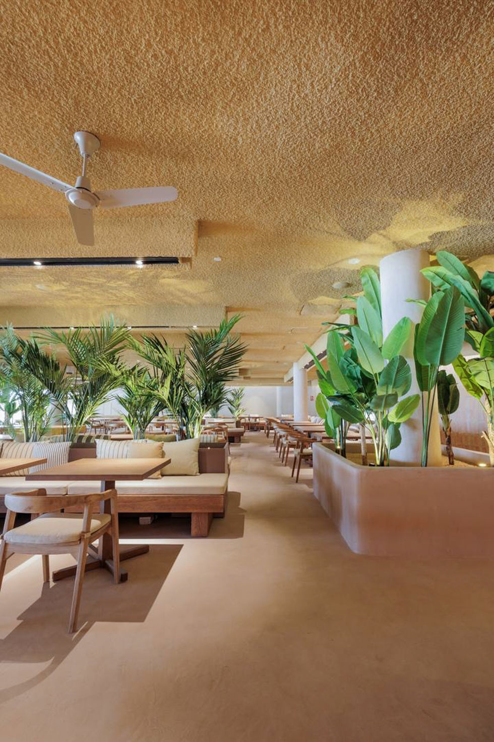fotografies per a un restaurant a Barcelona-92