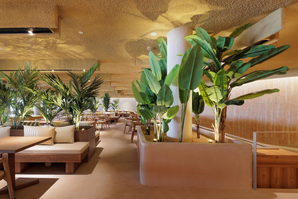 fotografies per a un restaurant a Barcelona-109