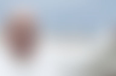 "Creativi come gli artigiani per il bene comune" esorta Papa Francesco
