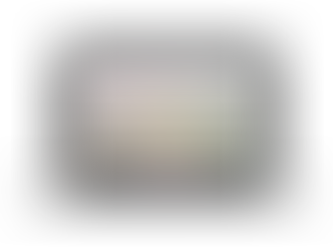 Mockup von neuer Website für die mizzi erstellt von Mipa Agentur Graz im Zuge einer Websiteoptimierung