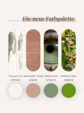 Farbpalette - Branding Rework & Website by MIPA Brandingagentur Graz für s.m.i.le - Charlotte Popp - MET Klopftechnik
