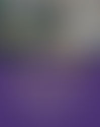 Municipio de La Unión informa cambio de sentido de tránsito en calle Sargento Aldea.