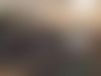 Municipalidad de La Unión gestionó ante el Gobierno un camión aljibe extra para el verano.