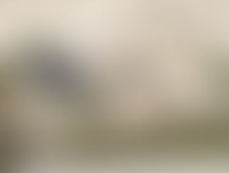 Diseño para la Casa Duhalde presenta un 60% de avance y se proyecta su finalización para 2026.