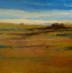 Complimentary Colors