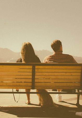 San Francisco bench_edited.jpg