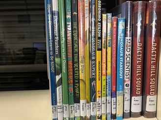 Display Creation Opportunity