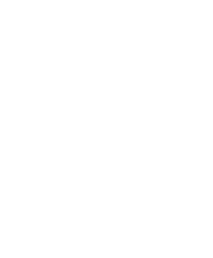 Decorative arrow