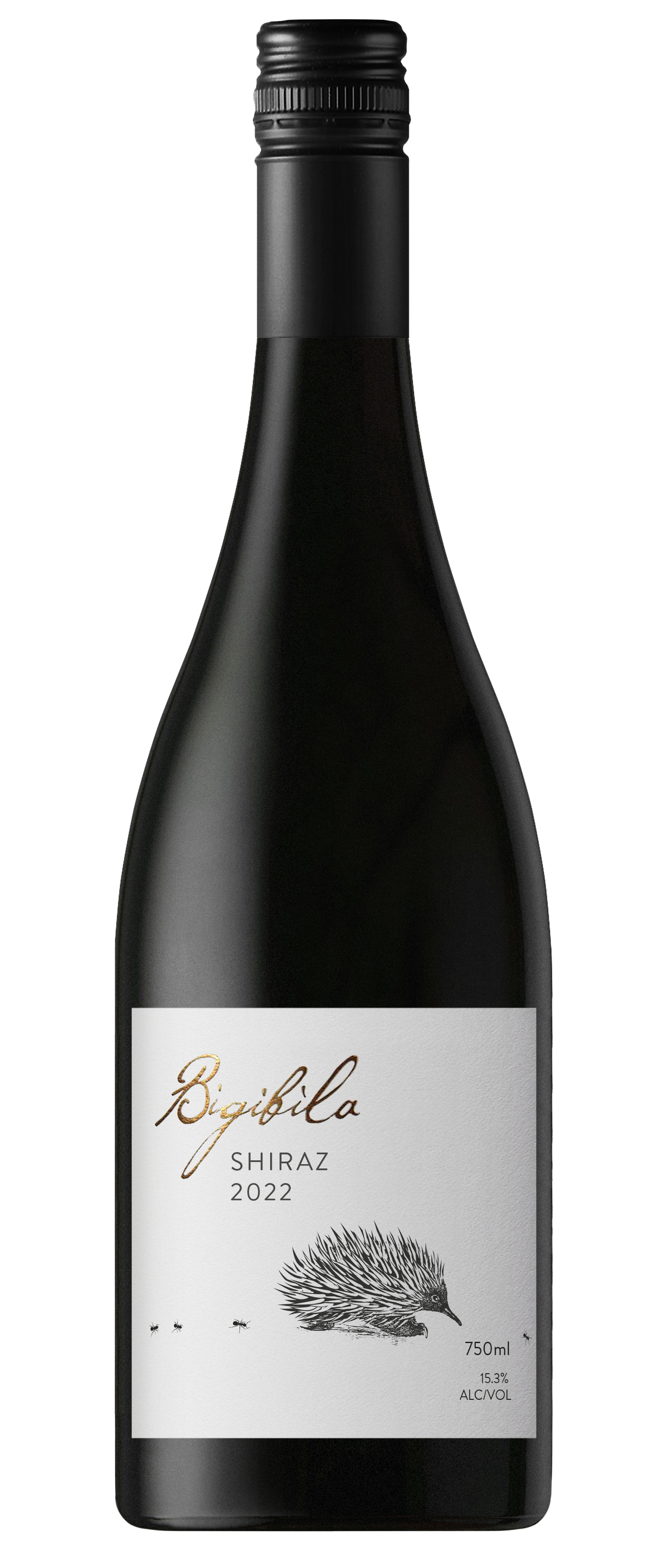 2022 Bigibila Shiraz