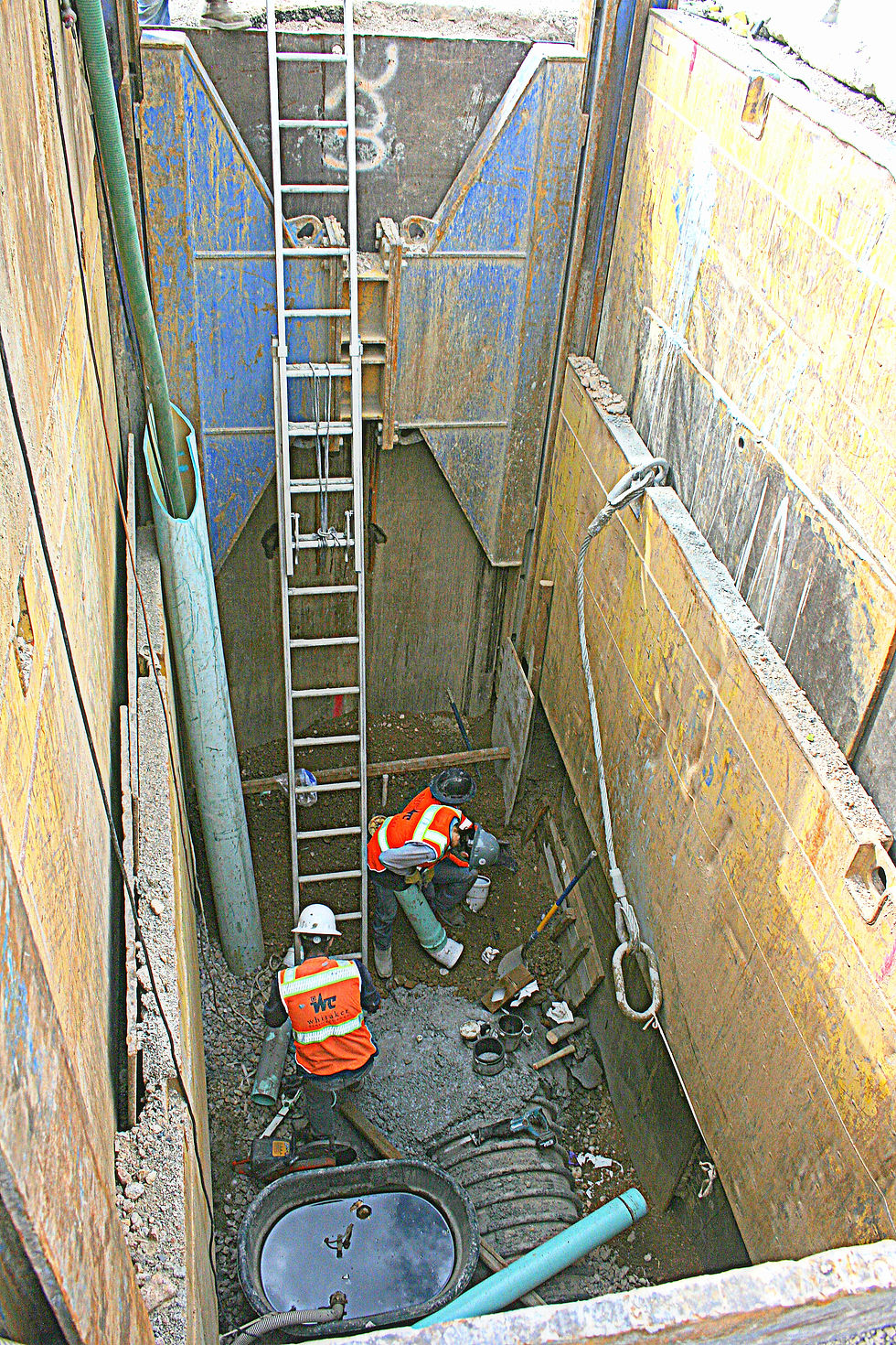 gladiola sewer (3).JPG
