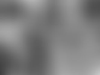 PERMANENCIA VOLUNTARIA, VIÑETAS DE UN ESPECTADOR