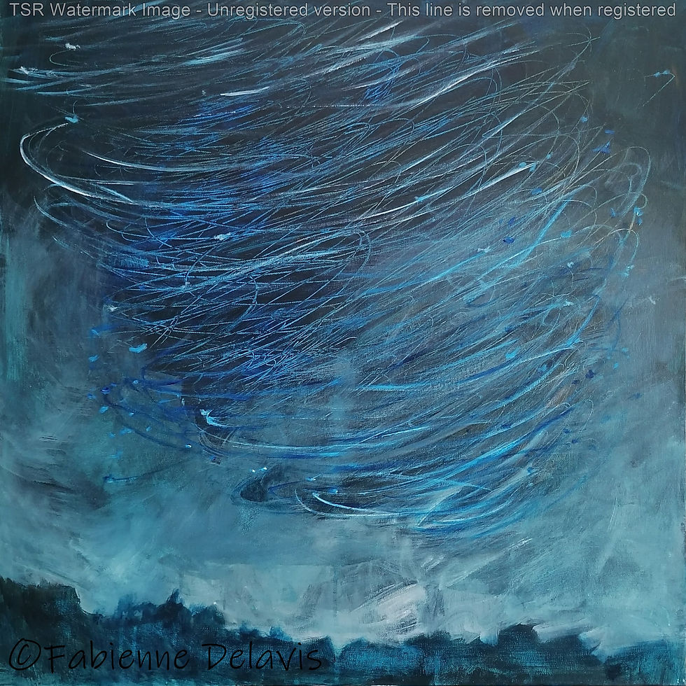 Murmuration nocturne