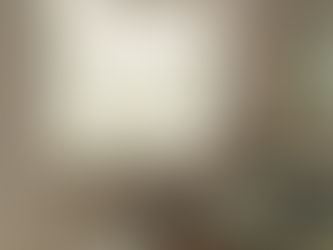 What are Accent Shutters?